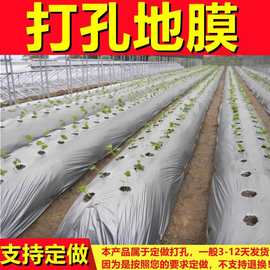 智能大棚種植辣椒 電子電器產品的應用與未來展望